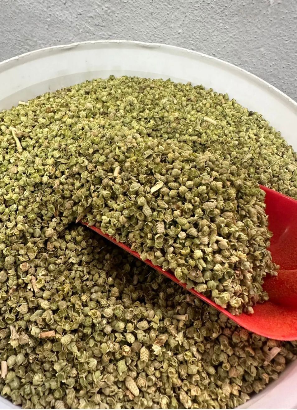 100 GRAM ZAHTER